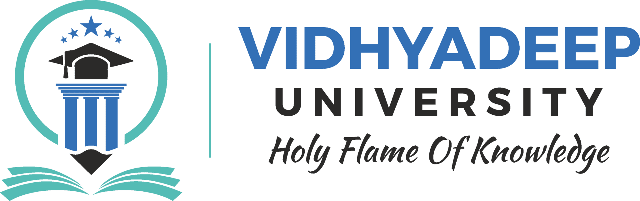 VIDUNI Logo